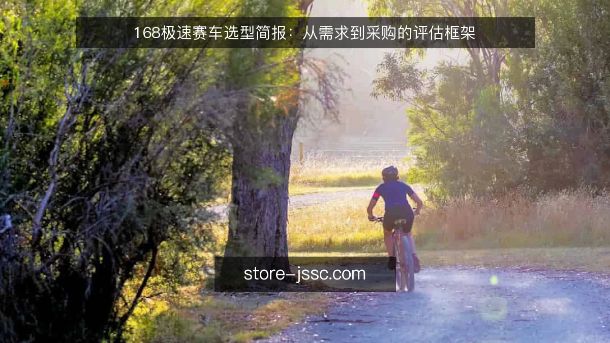 168极速赛车选型简报：从需求到采购的评估框架