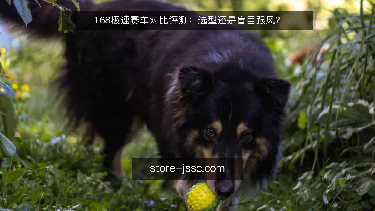 168极速赛车对比评测：选型还是盲目跟风？